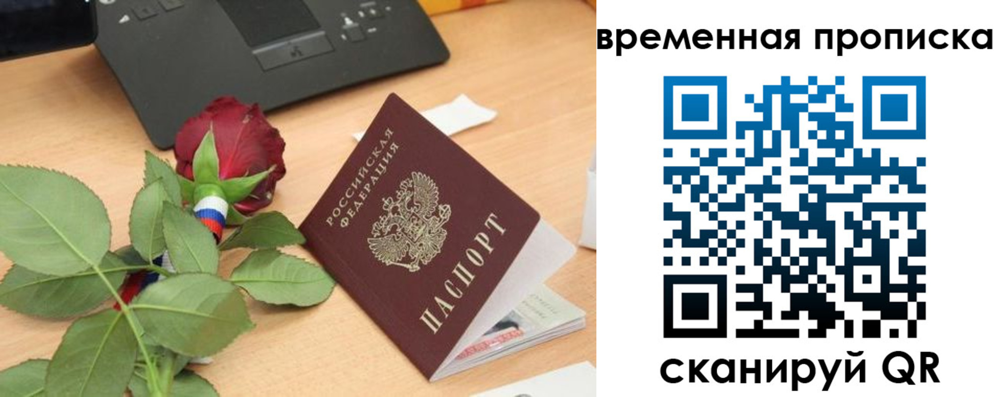 временная регистрация поиск в Мурино